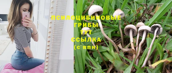 наркотики Абдулино