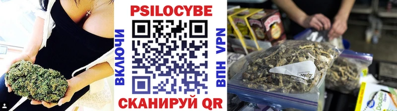 купить  цена  Электросталь  Псилоцибиновые грибы Magic Shrooms 
