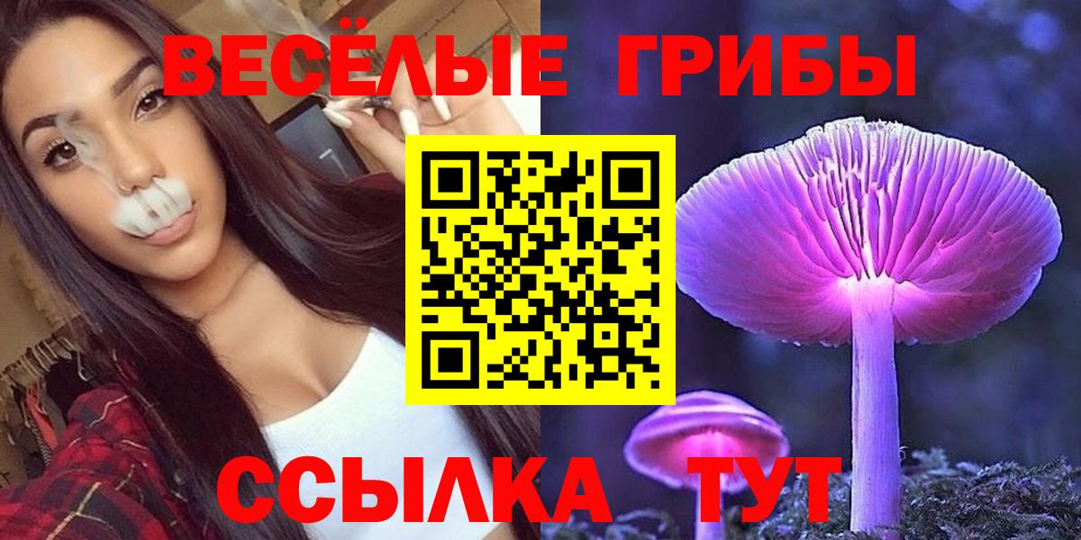 купить наркоту  Псилоцибиновые грибы MAGIC MUSHROOMS  Вход с VPN  Электросталь 