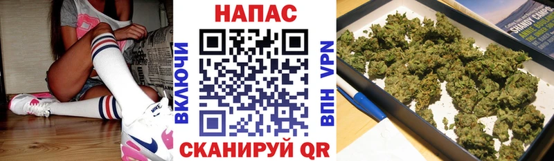 кракен   Электросталь  Шишки марихуана сатива 